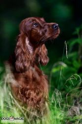 029-Fotohooting-11-08-2019